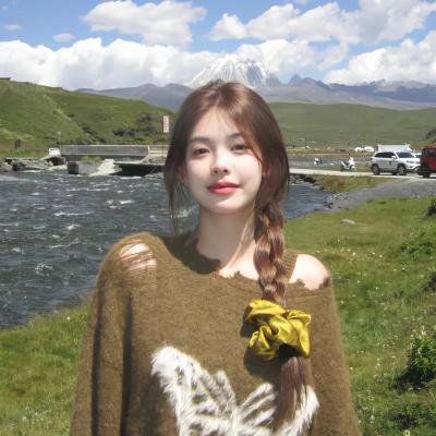 特洛伊奥德赛